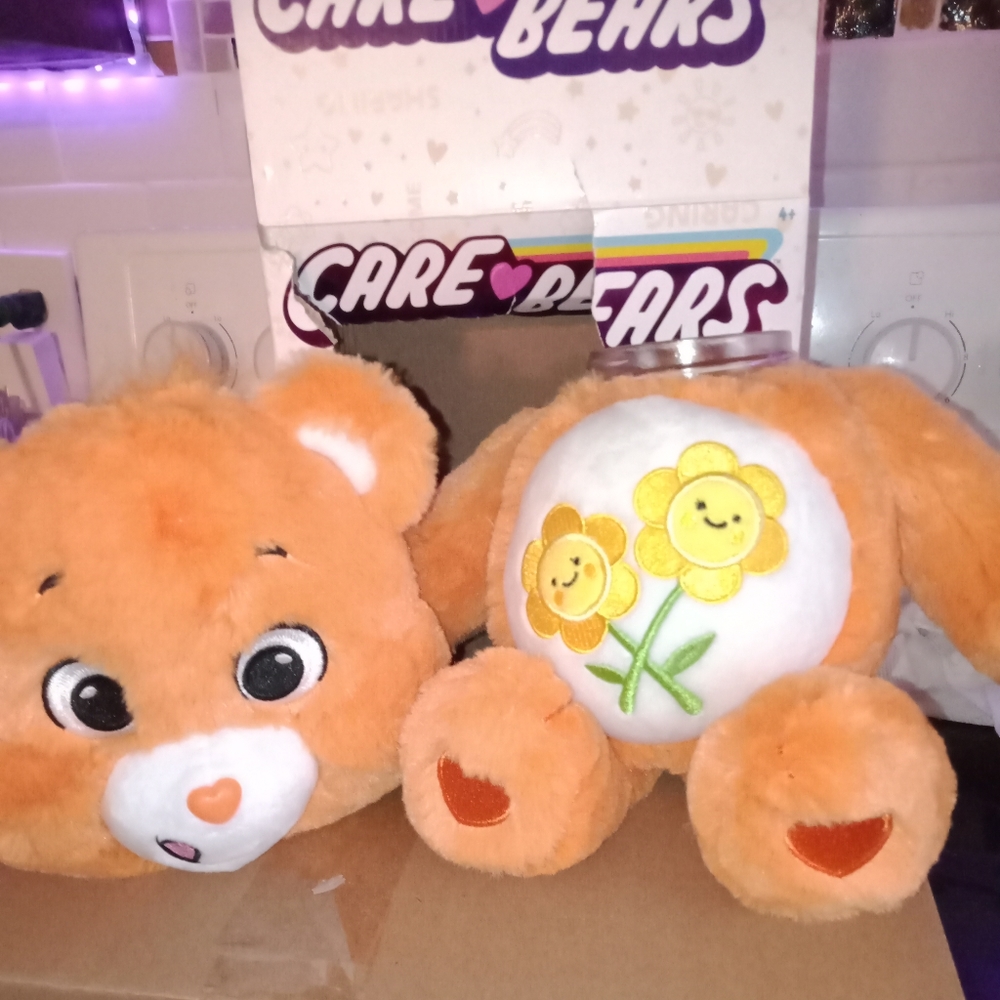 New custom stash jar carebears